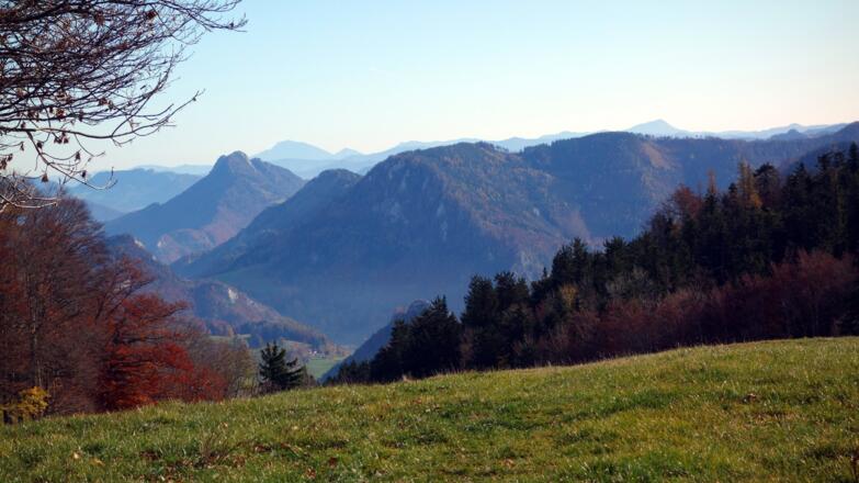 Schieferstein 1206m im Osten von 1150m gesehen