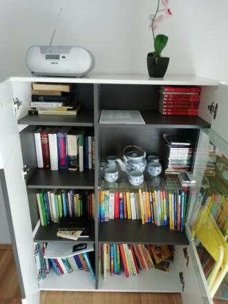 Gläser- und Bücherschrank 1