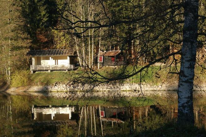 Auwaldsee bei Fischen