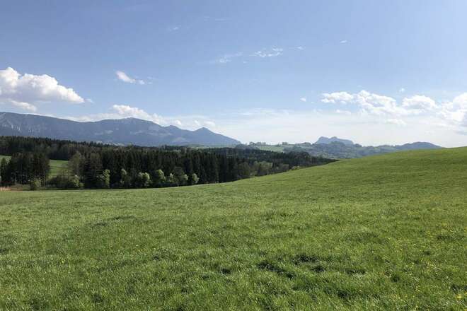 Blick zum Samerberger Hochtal von Riedering aus