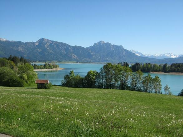 Forggensee und Berge
