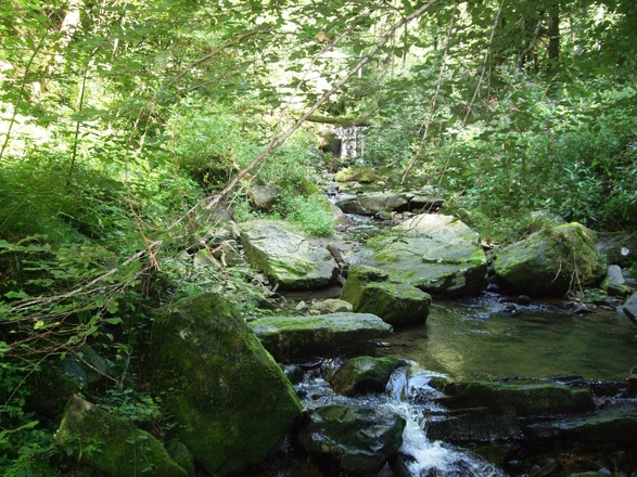 Kohlbachtal