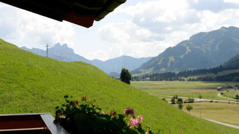 Ausblick