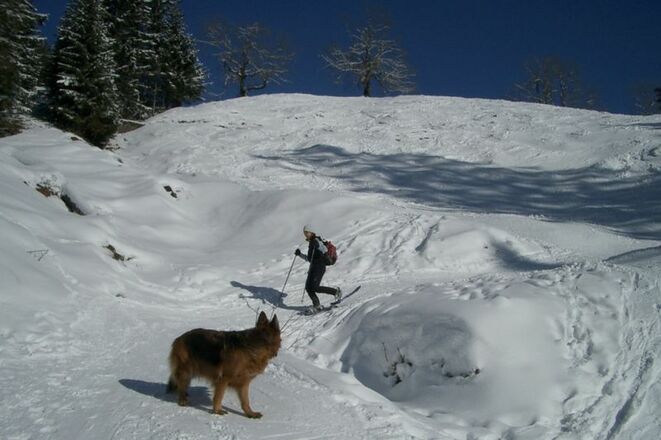 Schnee auf Geigelstein