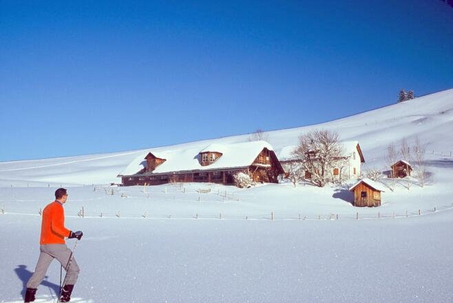 Schneeschuwandern - Gschwendtalm