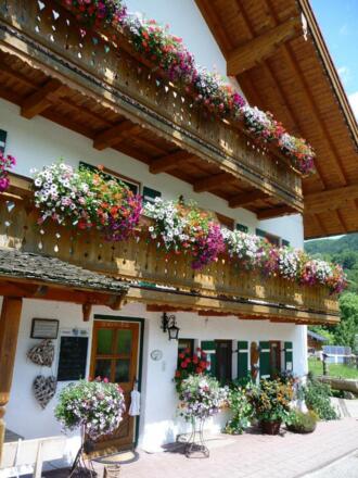 Hausansicht Pfeffererlehen im Sommer