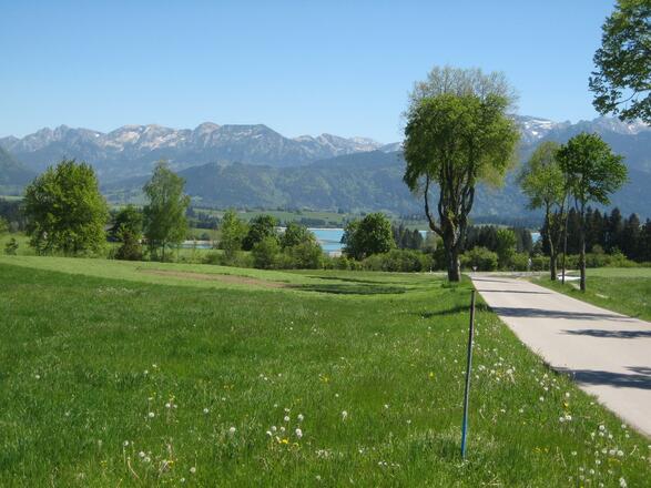 Aussicht in 400 m Entfernung