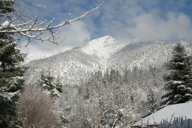 IMG_7739_(1024_x_768)