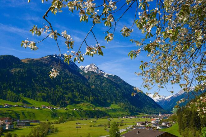 Aussicht   Pension Tina