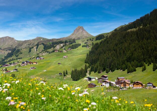 Blumenwiese im Bregenzerwald