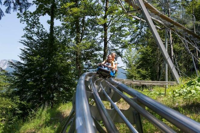 alpine coaster