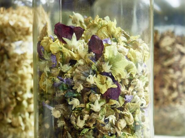 Permakultur Theklasien_Haibach_150930_632©WGD Donau Oberösterreich Tourismus GmbH-Peter Podpera