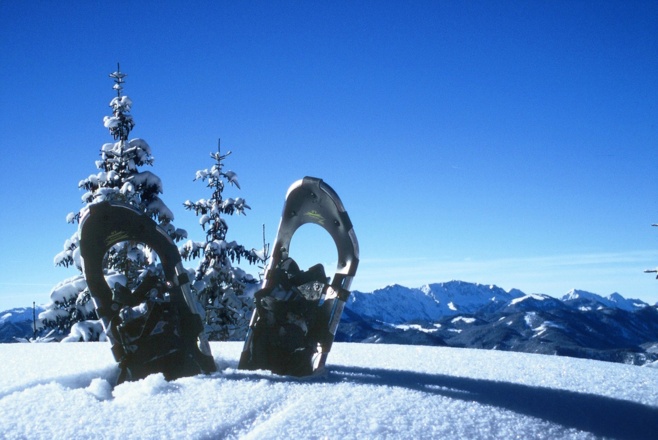 Schneeschuhwandern - Gschwendtalm