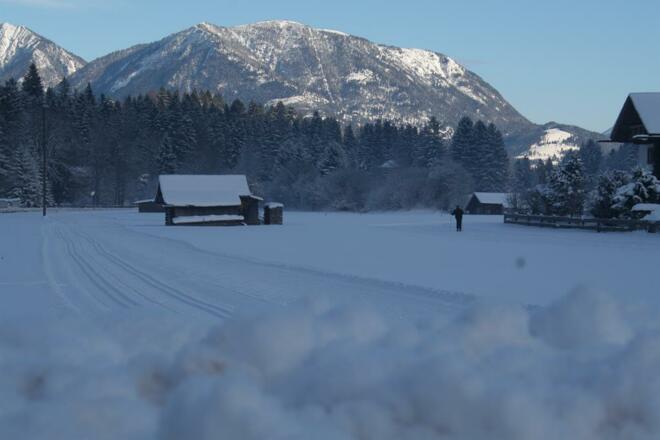 Langlaufloipe Grainau mit Blick zum Wank