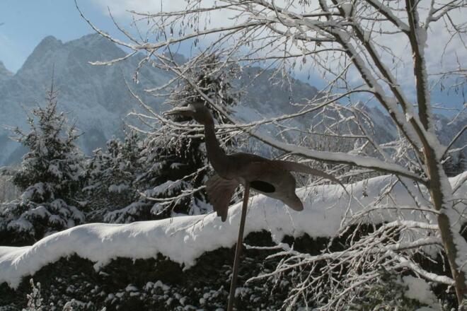 IMG_7721_(1024_x_768)