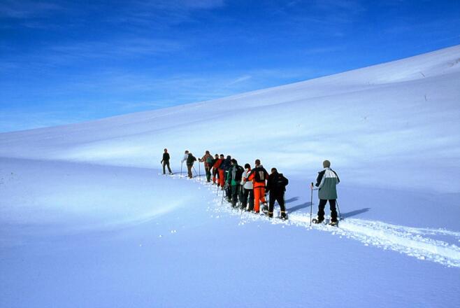 Schneeschuhtour - Gschwendtalm