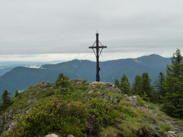 Schönleitenschrofen