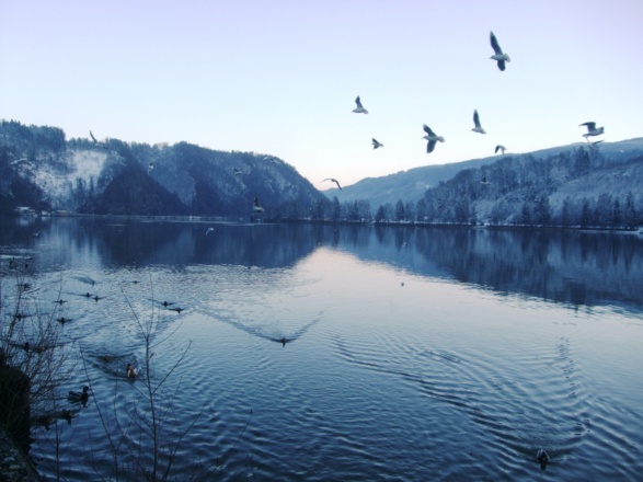 An der Donau