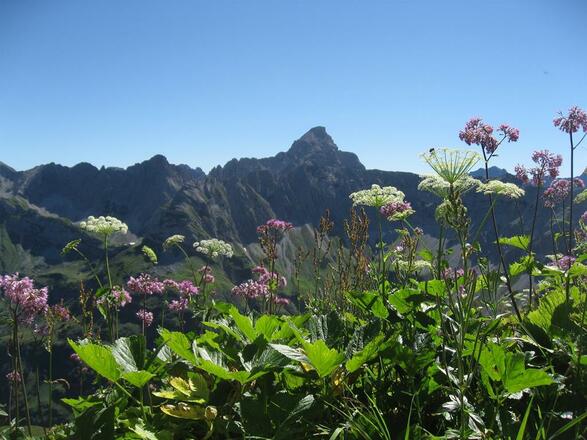 Wandern in den Hörnerdörfern - Blick auf Hochvogel