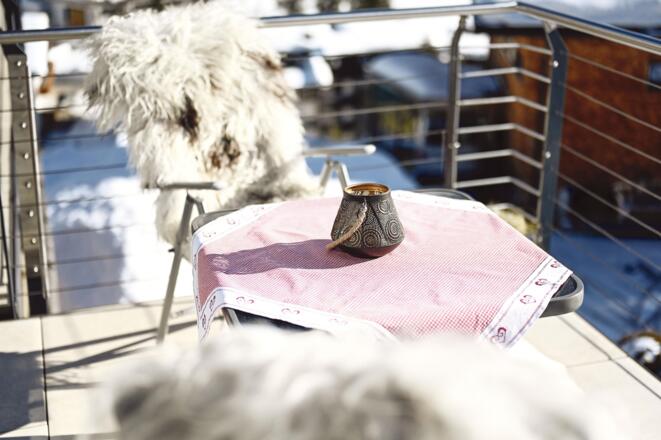 hausdrmuxel_appartement_omeshorn_balkon-19