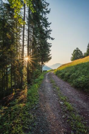 Wanderweg am Rotenberg