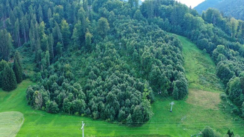 Zur Talstation der Mittagbahn - nur 5 Minuten.