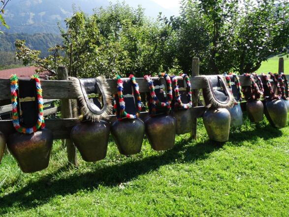 Schellen nach dem Viehscheid