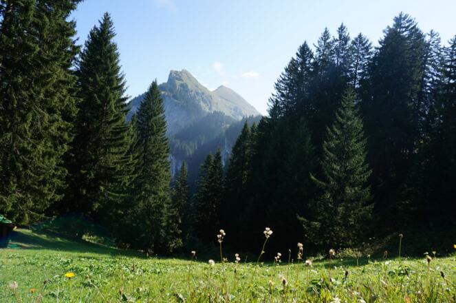 Wanderweg Mellau