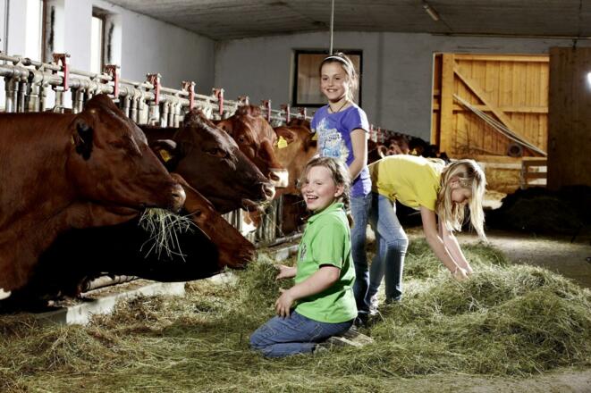 Täglich Tiere füttern