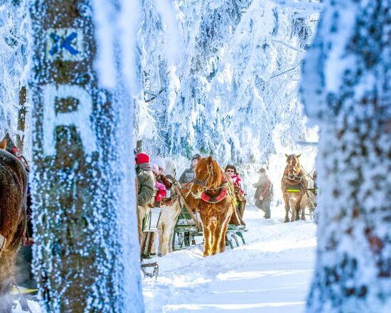 Pferdeschlitten am Rennsteig