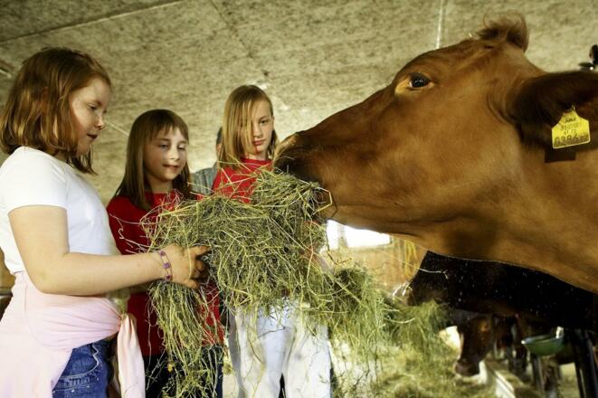 Aktiver Biobauernhof