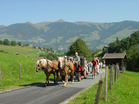 Ponyausflug mit Pferdekutsche