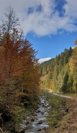 Herbststimmung Sägertal