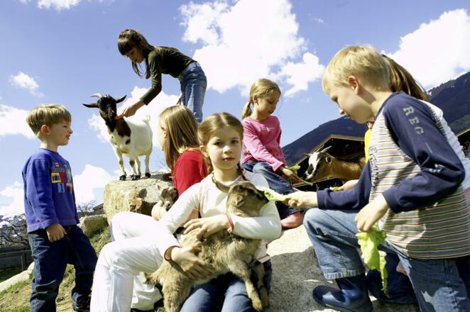 Jederzeit Zugang zu den Tieren