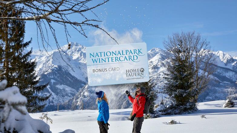 NP Wintercard