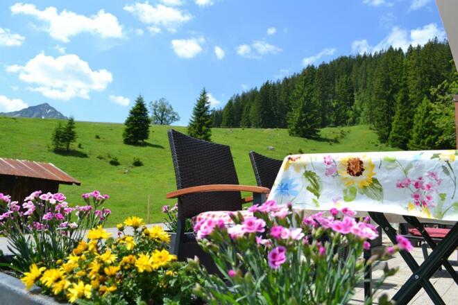 Blick zum Walmendingerhorn
