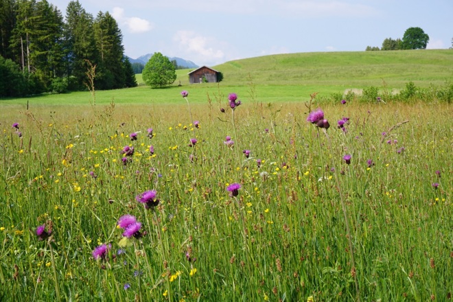 Logenplatz-Route - Natur genießen
