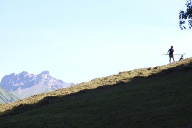 beim &quot; Hoib`ä &quot; auf der Alpwiese