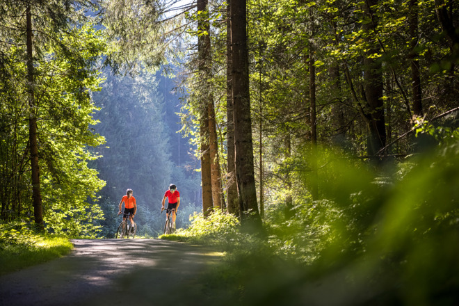 Gravel-Bike-Tour ins malerische Marbachtal