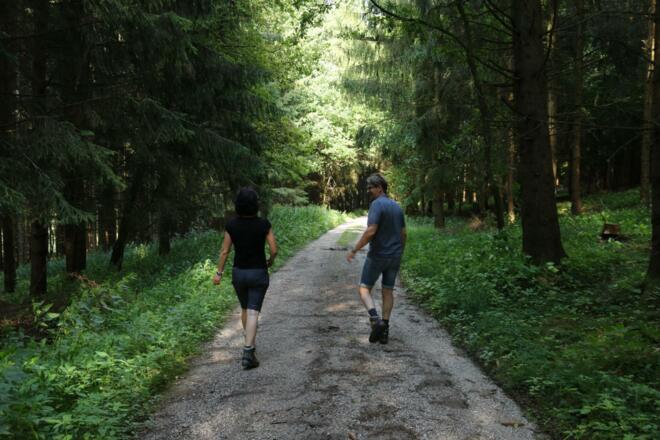 Wandern durch den Wald