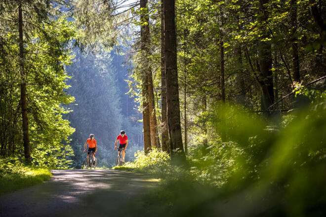 Flachau am Gravel-Bike entdecken!