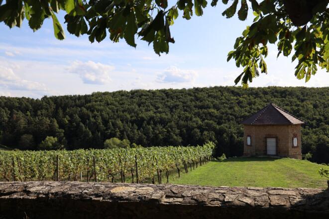 Sommer am Kavaliershäuschen