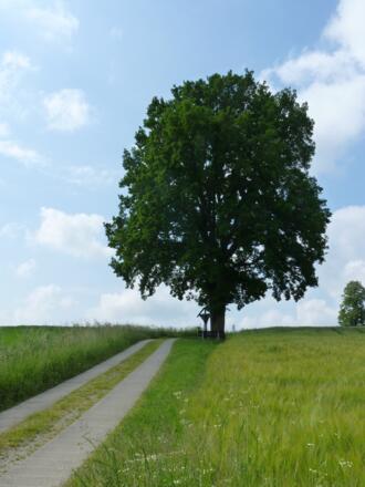 Rastplatz bei Hochreith