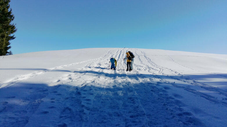 Winterwandern am Glasenberg in Maria Neustift