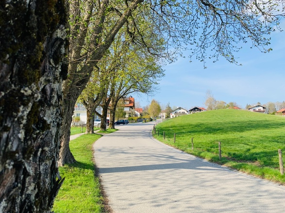 Allee in Bad Heilbrunn