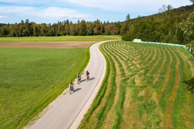 Radeln in der Pupplinger Au