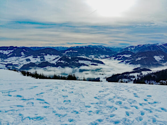Winterwandern am und um den Glasenberg in Maria Neustift
