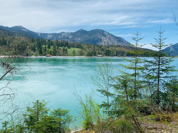 Walchensee