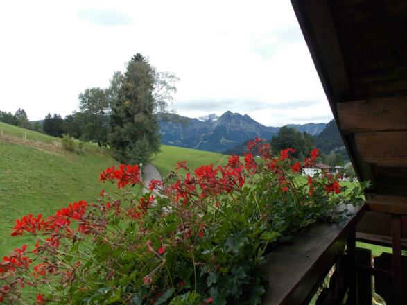 Aussicht Ferienwohnung