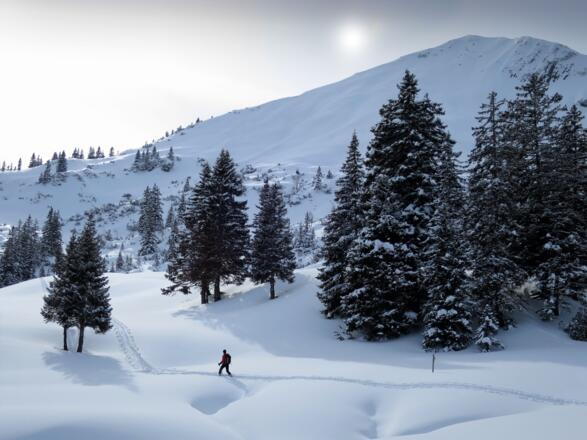 Aufstieg Ochenälpleskopf
